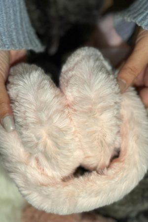 IMG-20241217-WA0196